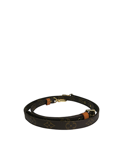 Louis Vuitton Bag Strap, front view